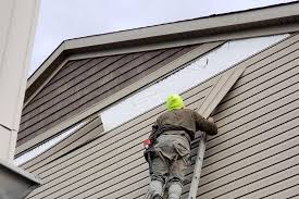 Best Siding Painting and Refinishing  in Fort Meade, FL